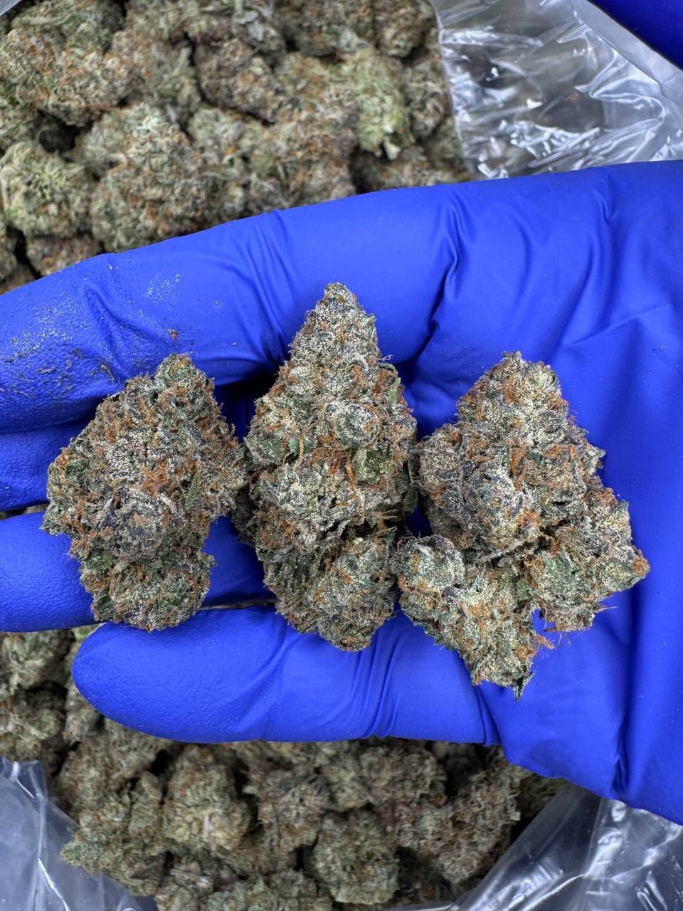 Cherry Zlushie🍭