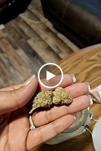 Kira S. customer review