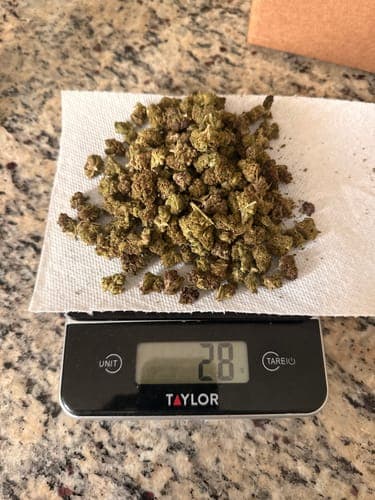 Brandon K. customer review
