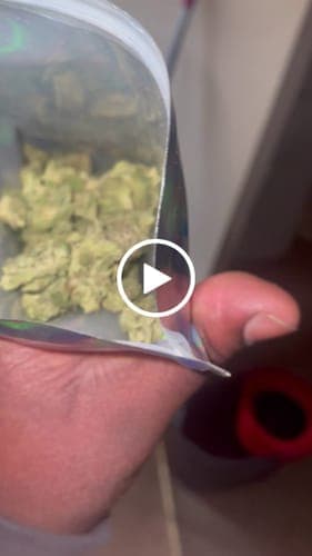 Chris V. customer review
